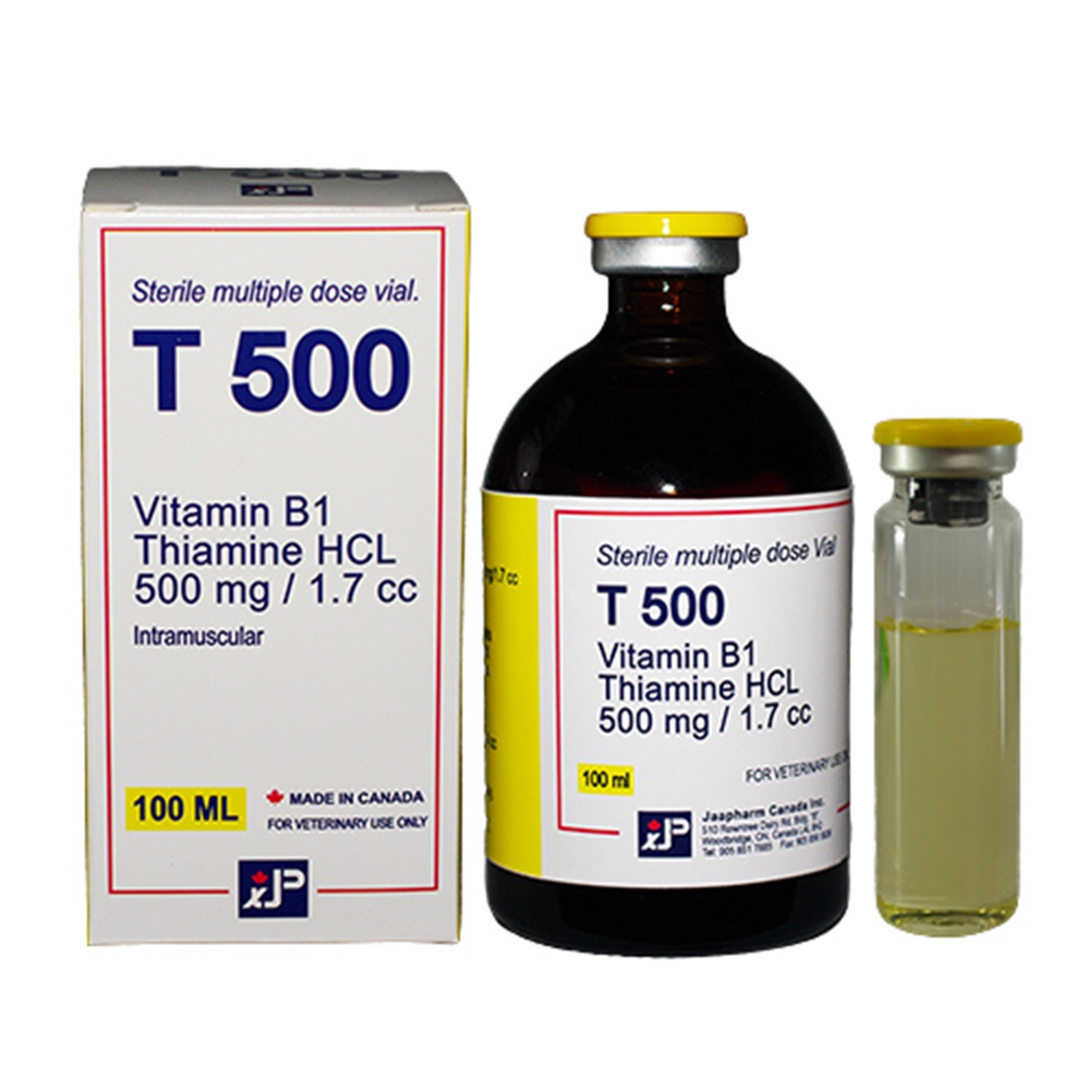Jaapharma T500 INJ (100 ml)