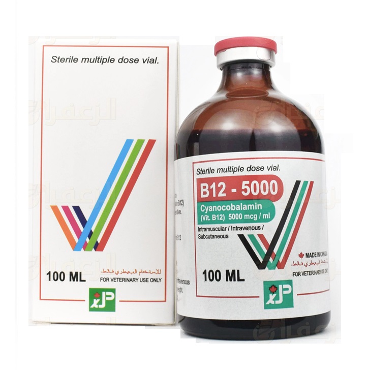 Jaapharma B12-5000 INJ (100 ml)