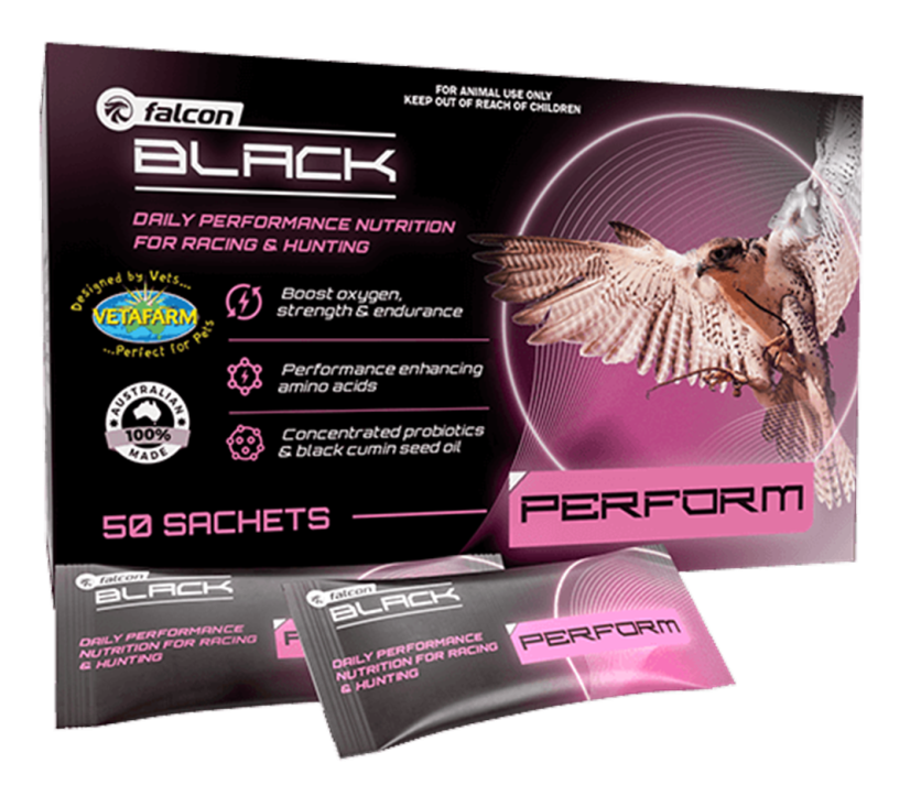 Vetafarm Falcon Black Perform (50 sachets)