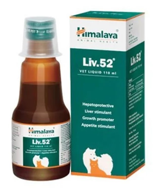Himalaya LIV52 (110 ml)