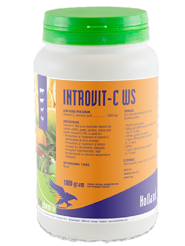 Interchemie Introvit C WS Powder (1000 g)