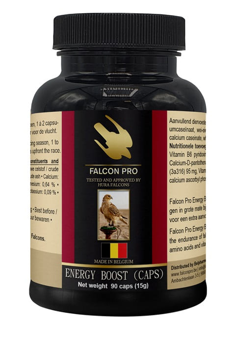 Falcon Pro Energy Boost (90 Caps)