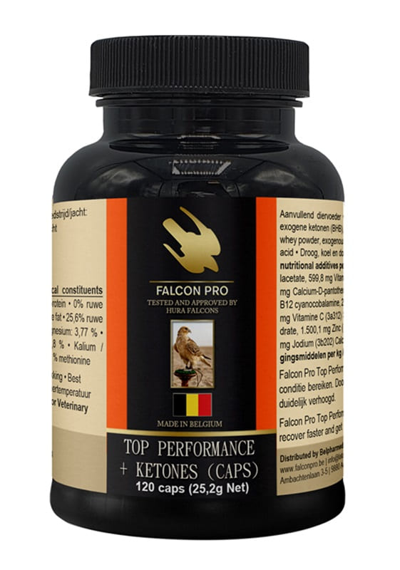 Falcon Pro Top Performance + Ketones (120 Caps)