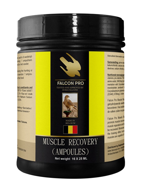 Falcon Pro Muscle Recovery (Ampoules)