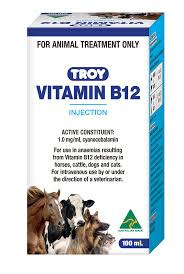 Troy Vitamin B12 INJ (100 ml)