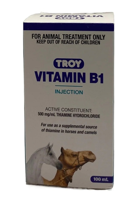 Troy Vitamin B1 INJ (100 ml)