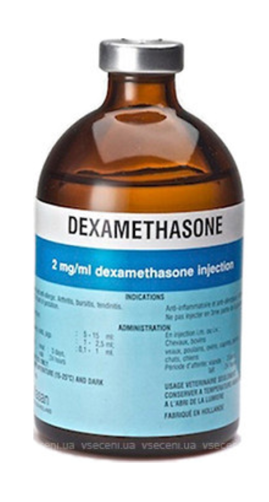 Alfasan Dexamethasone 2 mg/ml INJ (100 ml)