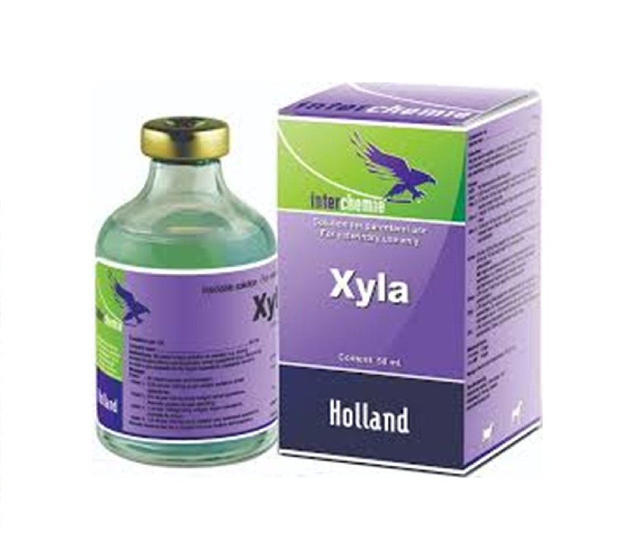 Interchemie Xyla INJ (50 ml)
