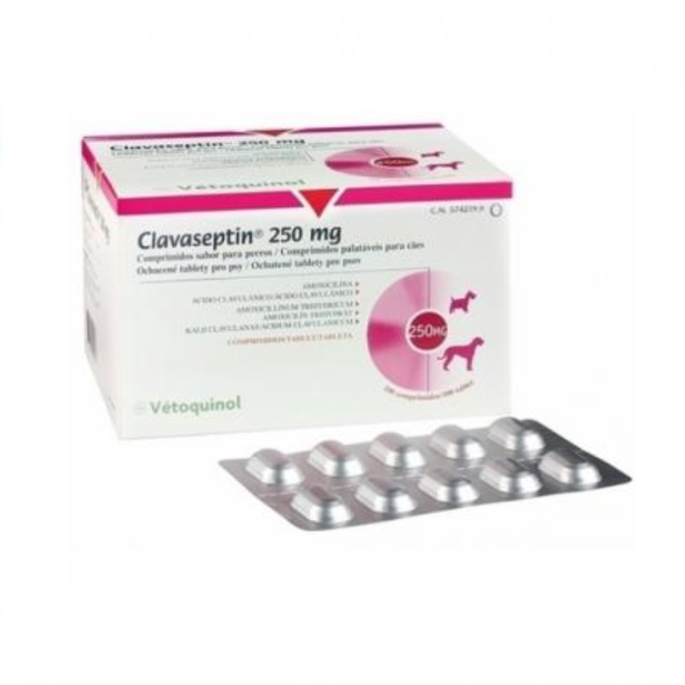 Vetoquinol Clavaseptin 250 mg (100 T)