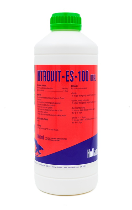 Interchemie Introvit ES-100 Oral Liquid (1000 ml)