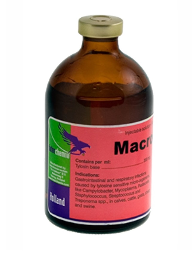 Interchemie Macrolan INJ (100 ml)