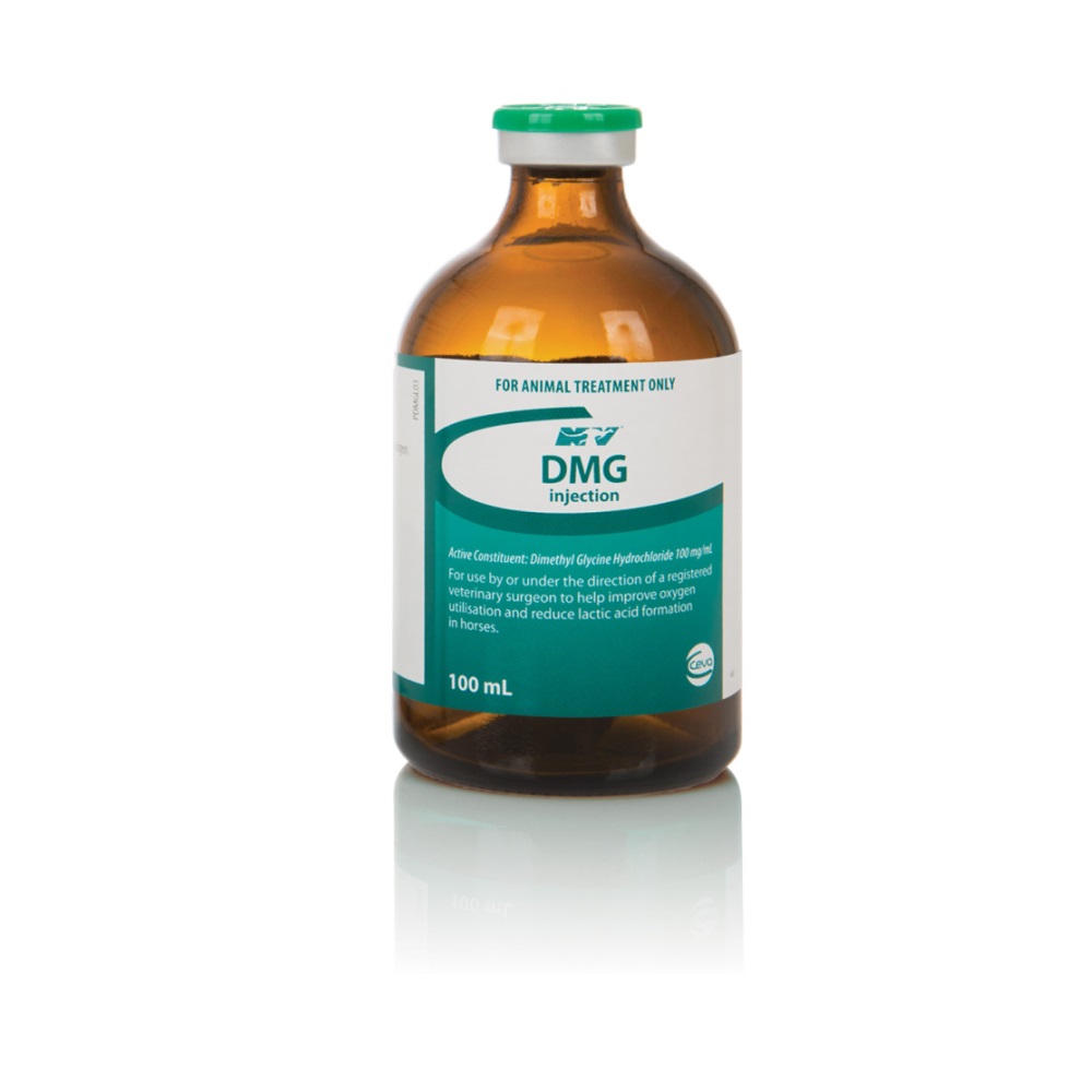 Ceva DMG INJ (100 ml)