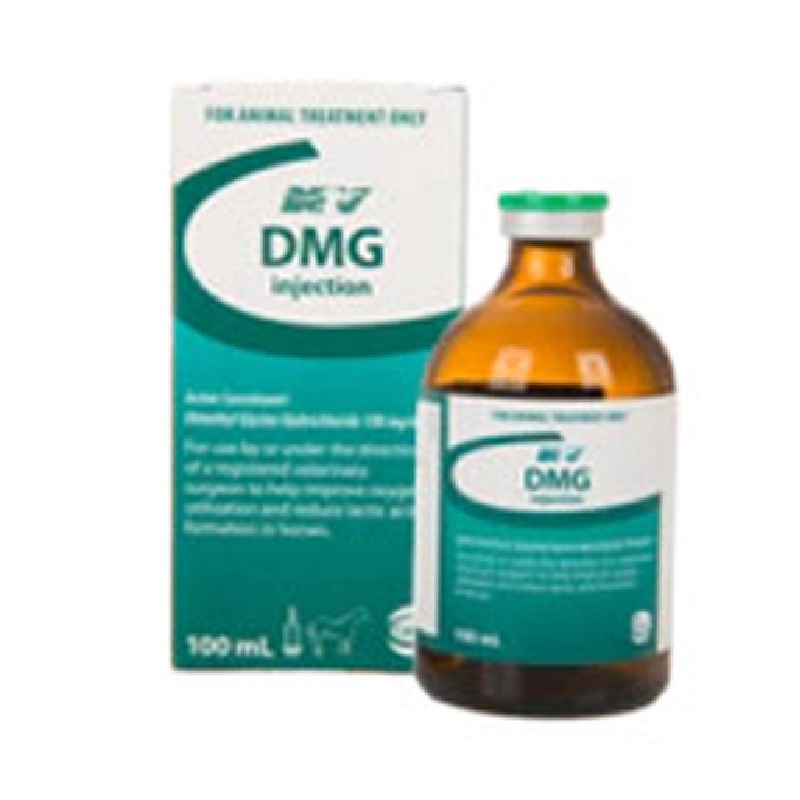 Ceva DMG INJ (100 ml)