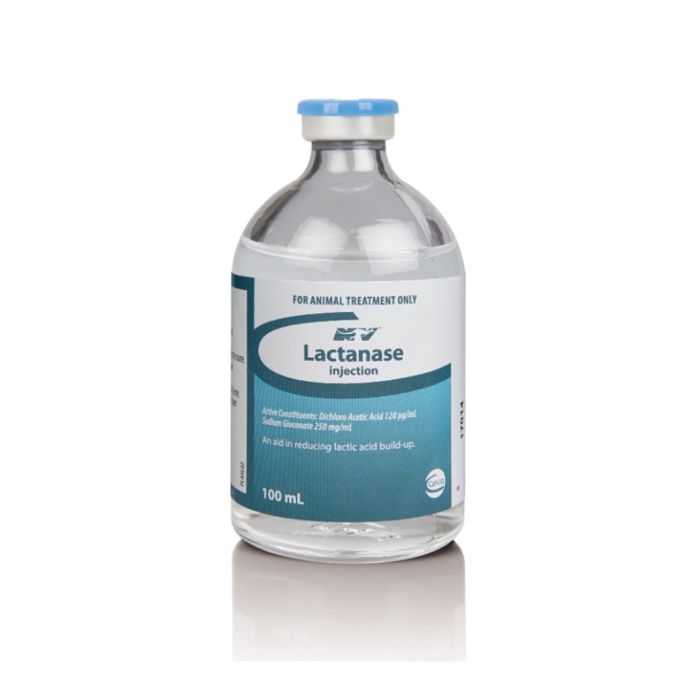 Ceva Lactanase INJ (100 ml)