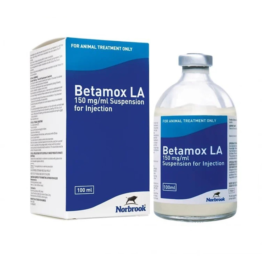 Norbrock Betamox LA 150 mg/ml INJ (100 ml)