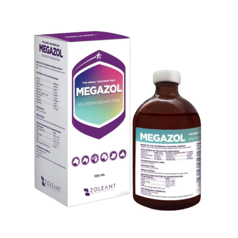 Zoleant Megazol INJ (100 ml)