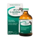 Ceva L-Carnitine INJ (100 ml)